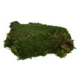 thumbnail image 1 of Vickerman H1MOU160 8 oz Green Moss Sheet Bag, 1 of 1