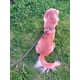 thumbnail image 5 of Correa Pechera Perros Chica Mediana Modelo Artesanal Arnés, 5 of 7