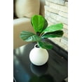 thumbnail image 3 of 15" H Fig Leaf in Ceramic Vase,Cream, 3 of 4
