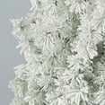 thumbnail image 6 of Seasonal LLC 6.5ft Snow Flocked Winter Fir Pre-Lit Christmas Tree with 250 Warm White LED Lights, 6 of 11