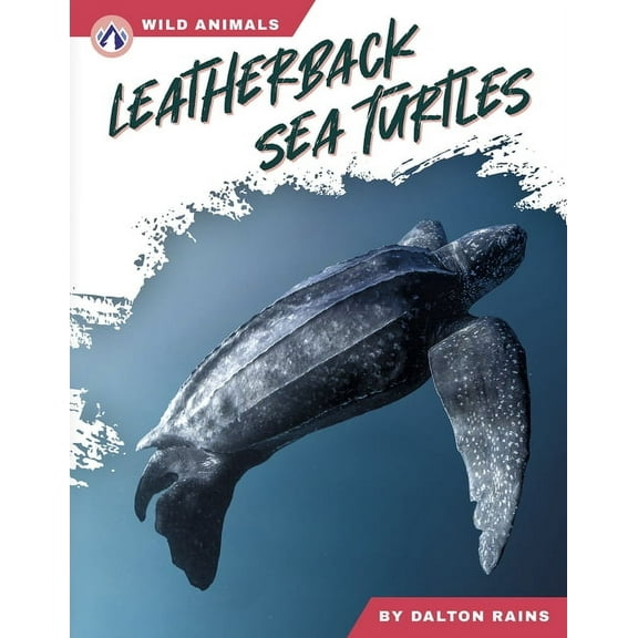 Leatherback Sea Turtles, (Paperback)