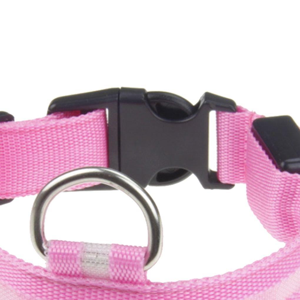 Should You Take A Dog Collar Off At Night