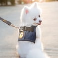 thumbnail image 2 of Arnés y correa de seguridad para mascotas, conjunto para perros pequeños, medianos, gatos, arneses, chaleco, correa para el pecho para cachorros, pugs, chihuahuas, bulldogs, chaleco para mascotas, 2 of 5