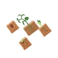 thumbnail image 1 of Vogacara Modelo de ciclo de crecimiento de plantas de frijol verde, ciclo de vida de plantas, juguete educativo de evolución para niños Juguetes Vogacara FN005936-00, 1 of 6