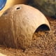 thumbnail image 3 of Hábitat para Reptiles, Cueva de Cáscara de Natural para Lagartijas, Arañas Animales Pequeños., 3 of 6