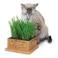 thumbnail image 3 of Kitty's Garden, 3 of 3