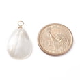 thumbnail image 3 of 30 pc Natural Trochid Shell/Trochus Shell Pendants with Real 18K golden Plated Copper Wire Teardrop Creamy White 31.5x18x4mm Hole: 3.7mm, 3 of 5