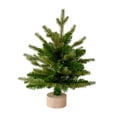 thumbnail image 1 of Adorno de Navidad BLESIY Estatuilla de Árbol de Navidad Coleccionable, 1 of 8