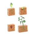 thumbnail image 3 of Ciclo de vida de la planta de judía verde, regalo Montessori, juguete de desarrollo, modelo de ciclo de vida de planta agrícola, figura para niños en, 3 of 10