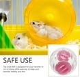 2Pcs Hamster Ball Small Pet Running Exercise Ball for Chinchilla Guinea