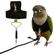 Black Bird Harness and Leash Set for Parrots, Faux Suede Flight Vest with Snap Button, Escape Proof Outdoor Walking Training Accessory for Cockatiel Conure Budgie Parakeet
