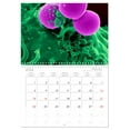 thumbnail image 6 of Microbiology. Microorganisms and cells (Monthly Wall Calendar 2026 16.5 x 23.4 (open)), CALVENDO 14 Month Calendar, 6 of 9