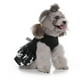 thumbnail image 4 of Methold Ropa de lana para mascotas, jersey para perro, suéter, traje pequeño para gato Yorkie, Chihuahua Ropa para mascotas nueve L, 4 of 6