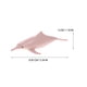 thumbnail image 2 of FELTECHELECTR 12 piezas de simulación realista de delfín, modelo de plástico mini delfín, modelo animal artificial, modelo de delfín., 2 of 6