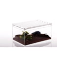 thumbnail image 3 of Caja para mascotas de escalada antifugas de una pieza, caja de acrílico para cría de serpientes, caja de cría de ranas cornudas Palace, caja de cría de reptiles, 3 of 6