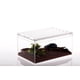thumbnail image 3 of Caja para mascotas de escalada antifugas de una pieza, caja de acrílico para cría de serpientes, caja de cría de ranas cornudas Palace, caja de cría de reptiles, 3 of 6