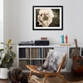 thumbnail image 4 of Art.com Golden Era Peony I Art Print by Rachel Perry, Black Frame Wall Art, 40" x 32", 4 of 5