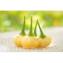 Peach Charapita Wild Peruvian Heirloom Pepper Premium Seeds Packet