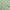 Green, variant on oneOone Polyester Spandex Green Fabric Leaves Sewing Material Print Fabric By The Yard 56 Inch Wide