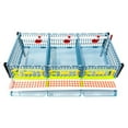 Hatching Time Quail Cage - Layer Addition (Power-Washable, Durable, ABS