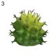 thumbnail image 2 of Gwong Decoración hogareña 1 UNID Cactus Artificial Suculento Garden Lifelike Plant Bonsais Decor Decor Gwong 21034580, 2 of 7