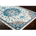 thumbnail image 2 of Surya Clairmont Polypropylene 5'3" X 7'3" Rectangle Area Rugs CMT2312-5373, 2 of 5
