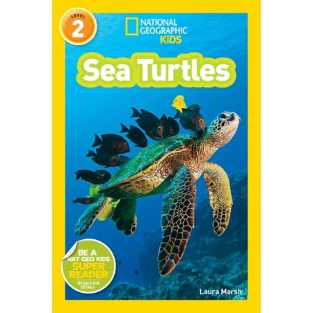 Sea Turtles (Paperback)