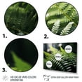 thumbnail image 3 of Designart "A Close Up Photo of Ferns I" Floral Floater Framed Canvas Print, 3 of 7