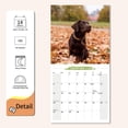 thumbnail image 3 of Calendario de Pared 2026, Calendario Labrador Retriever, Calendario de Pared Mensual Colgante con Bloques Grandes para Organizar y Planificar, Horario Académico, Hogar, Oficina y Familia, 3 of 6