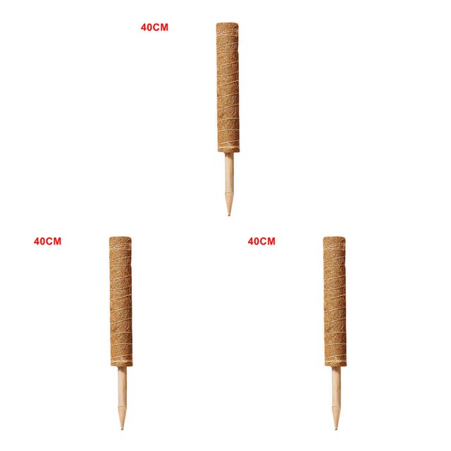 Moyic Poste trepador para plantas, soporte para plantas, enredadera, extensión para macetas, palo trepador para plantas de interior y exterior Type1 NO1 Moyic CBP088083