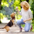 thumbnail image 5 of Retractable Dog Leash for Small Dogs and Cats up to 11 lbs with 6.5ft Tensile Strength Nylon Tape, Hands Free, Mini Portable Walking Leash with Wrist Strap, One Hand Brake, Tangle Free, 5 of 5