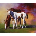 thumbnail image 2 of Chapman, Julie T. 14x12 White Modern Wood Framed Museum Art Print Titled - Hot Color, 2 of 4