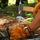 thumbnail image 4 of Camping Toolkits Storage Bag with Tent Nail Multifunctional Stable Tent Nail for Beach Canopys, 4 of 5
