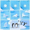 thumbnail image 3 of Cute Miniature Model Mini Animal Statue Resin Ornaments Micro Iceberg Series Handcraft Figurine 4, 3 of 8