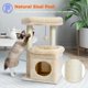 thumbnail image 5 of Free Shipping Small Cat Tree Tower Cat Condo Toy Cat Scrapers Scratching Post for Cat Pet Furniture Cat Accessories Cat Supplies ShopWise Round, 5 of 10