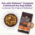 thumbnail image 6 of Wellness Bowl Boosters, Dog Food Topper for Small, Medium, & Large Breeds, Grain Free, Natural, Freeze Dried, Skin & Coat Health Chicken, 4 Ounce Bag (Pack of 1), 6 of 8