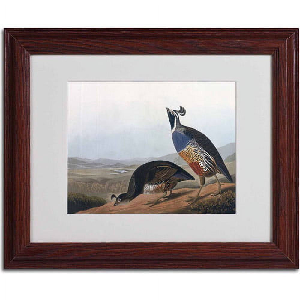 Trademark Fine Art "Californian Partridge" Canvas Art by John James Audubon, Wood Frame