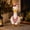 136 - Red, variant on Aurorax Winter Porch Goose Outfit 19 inch,Goose Clothes for Cement Goose Porch Goose 23"/17",Christmas Porch Goose Costume for Outdoor Yard
