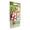 thumbnail image 3 of Semillas De Rábano Hortaflor Rojo 6 Gr, 3 of 3