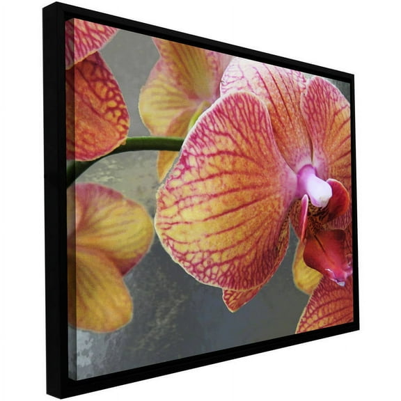 Dean Uhlinger "Orchid Study" Floater Framed Canvas Art