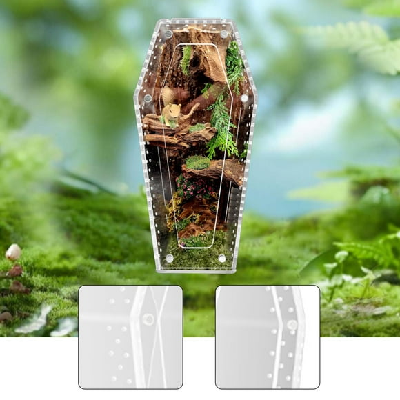 Terrario acrílico para arañas saltadoras, con forma de ataúd, para reptiles, ideal para animales terrestres o arbóreos, como pequeños tanques para