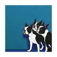 thumbnail image 4 of Boston Terrier Zenitude - Canvas, 4 of 25