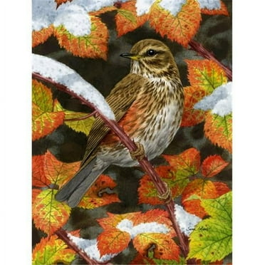 Redwing Flag Canvas House Size