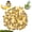 Yellow, variant on Threns 100Pcs Mini Wooden Bee Ladybug Shape Sticker Decor Self Adhesive Honey Bee Micro Landscape Decoration Cute Tiny Wood Ladybug Ornament for DIY Craft Scrapbooking