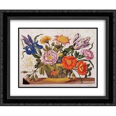 Maria Sibylla Merian 2x Matted 24x20 Black Ornate Framed Art Print 'from Der Raupen wunderbare Verwandlung und sonderbare Blumennahrung, Plate CLXIX'
