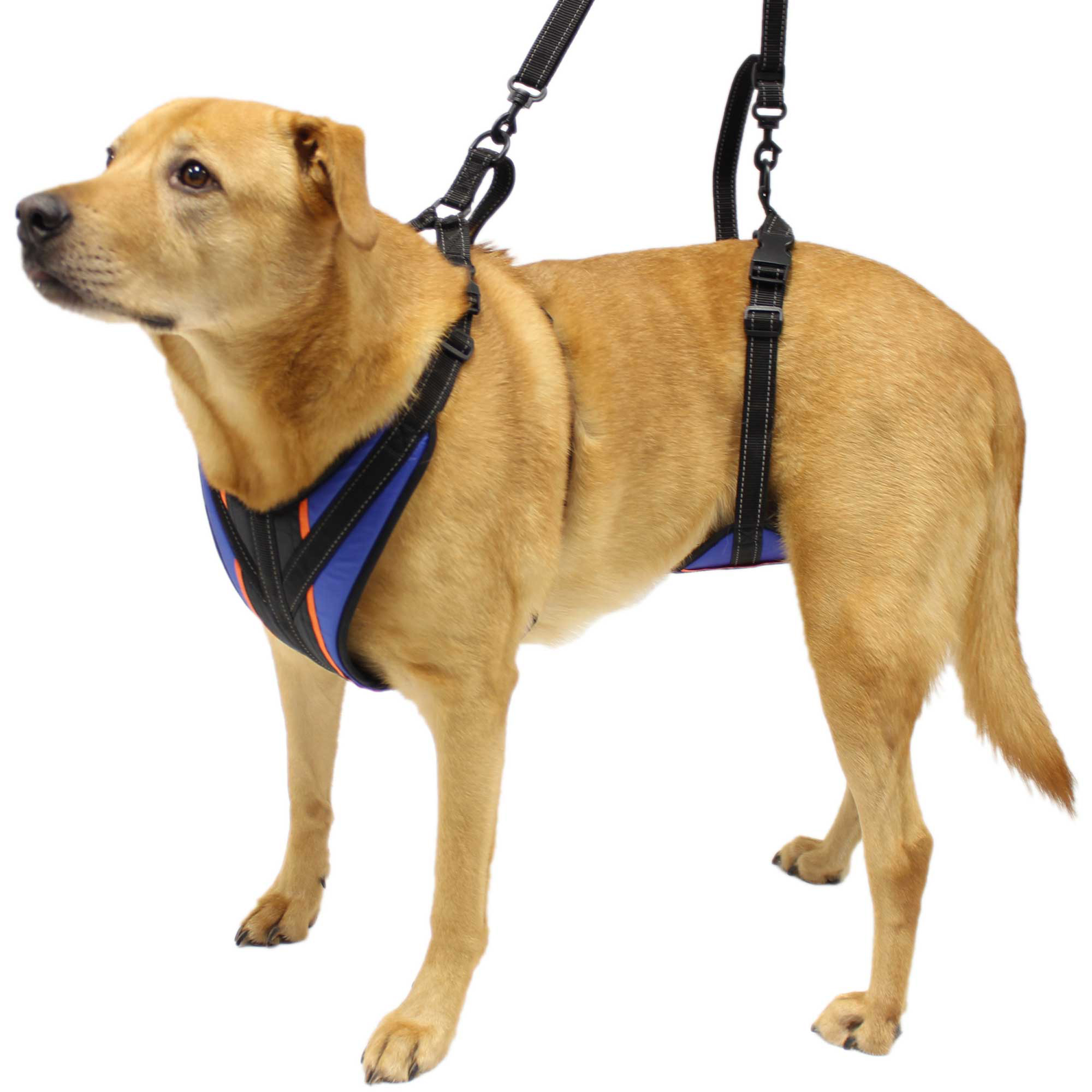 Walkin' Pets LiftnStep Dog Harness for Full Body Support Blue