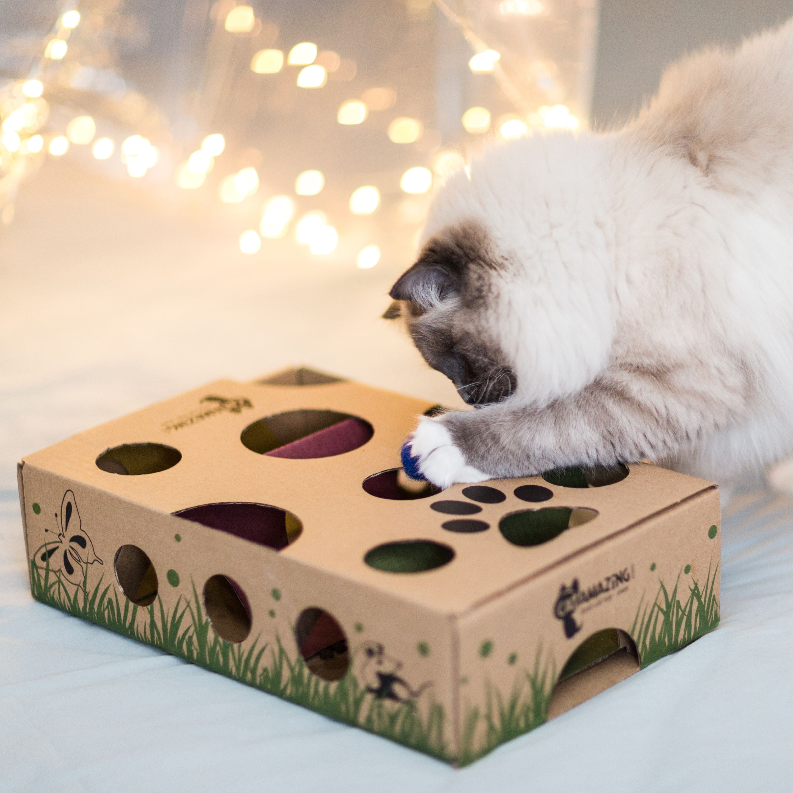 AOCCIT Cat Toy Indoor for Cats Interactive Best Kitten Puzzle Toys Seller  Kitty Treasure Chest Puzzles Smart stimulating Mental Stimulation Brain