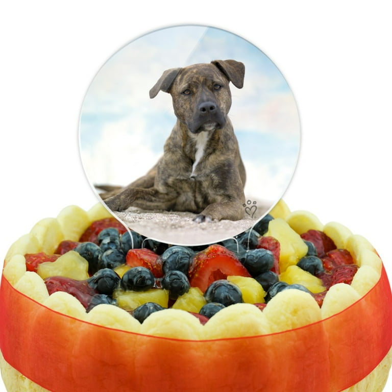 Staffy cake cheap