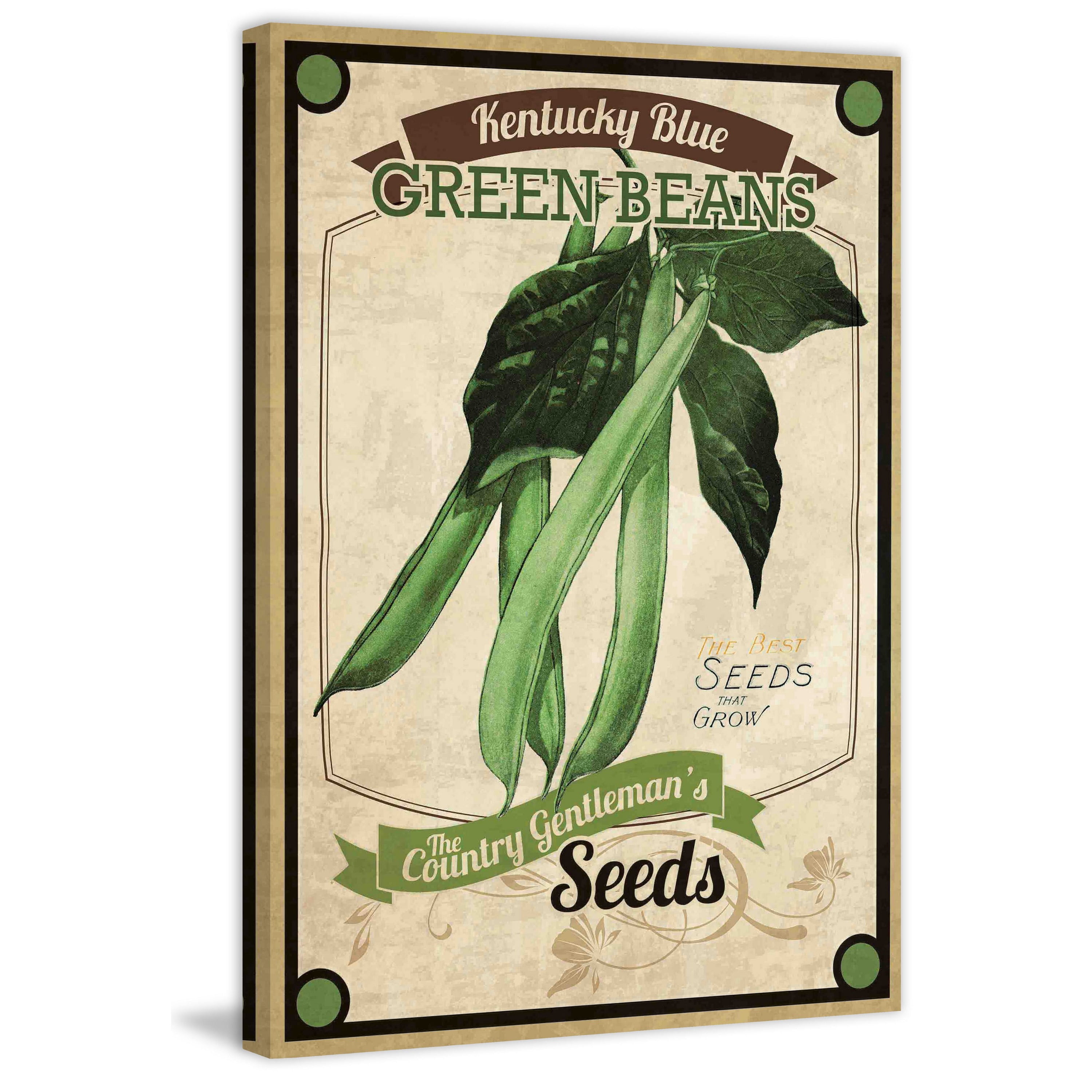 Marmont Hill "Seed Packet Green Beans" Painting Print on Canvas