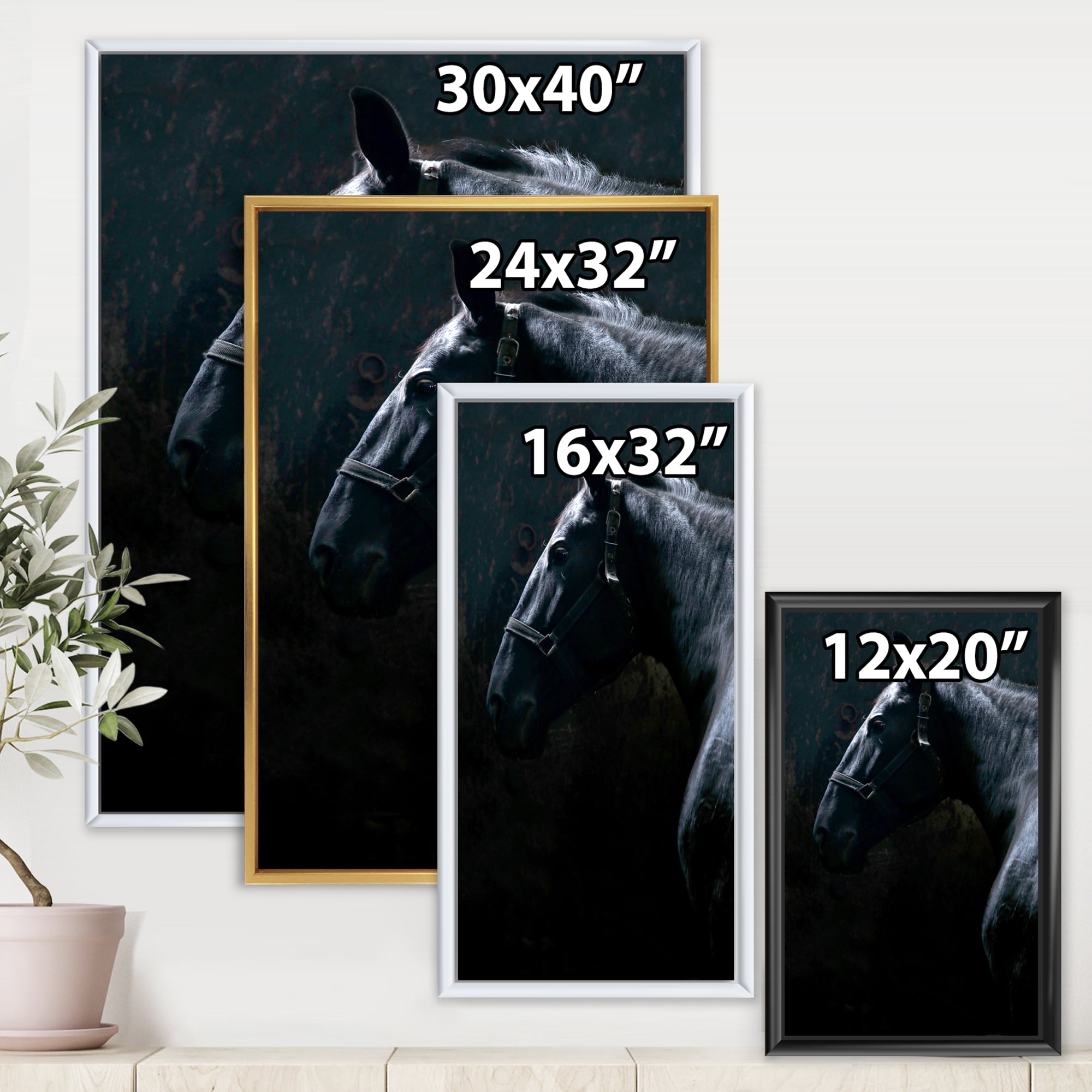 Designart 'Close Up Of Thoroughbred Nonius Stallion Horse II' Farmhouse Framed Canvas Wall Art Print